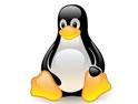 Linux Nedir ?