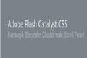 Flash Catalyst CS5 – Karmaşık Bileşenler Oluşturmak: Scroll Panel