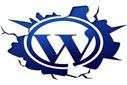 Wordpress 2.92 Ftp Programı Ayarları ve Dosyaların Siteye Yüklenmesi