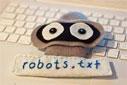 Robots.txt Analizi ve Hataları Tespit Etme