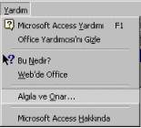 Access Yardım Menüsü