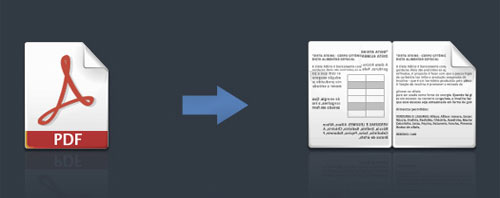 convert-pdf-to-flash-page-flip