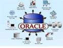 Oracle 10g Görsel Eğitim Seti
