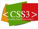 CSS Özellik Seçicileri