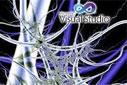 VisualBasic.NET - Bitsel Operatörler-And Operatörüne Giriş-2