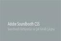 Adobe Soundbooth CS5, Partisyonlar ve Çok Kanallı Çalışma