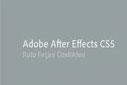 Adobe After Effects CS5 , Roto Fırçası Özellikleri