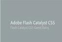Adobe Flash Catalyst CS5, Genel Bakış