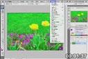 Photoshop CS3 Layer Comps to PDF
