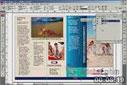 Adobe InDesign Eğitimi-Palet Kullanımı ve Detayları