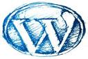 Wordpress 2.92 Profil ve Kişisel Tercihlerin Düzenlenmesi