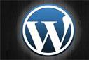 Wordpress 2.92 Blog Yeni Yazı Nasıl Eklenir