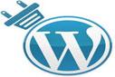 Wordpress 2.92 Yazı Kategorileri Ayarları