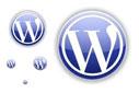 Wordpress 2.92 Blog Sayfamıza Google Analiz Kodlarını Sayfaya Yerleştirmek