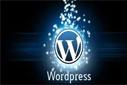 Wordpress 2.92 Kullanıcıları ve Yazarları Yönetmek