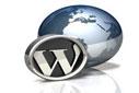 Wordpress 2.92 Kullanıcı Ayarları ve Yönetimi