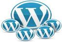 Wordpress 2.92 Sayfa Şablonu - Tekil Yazı ve Tema Fonksiyonlarının Türkçeleştirilmesi