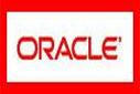 Oracle Veritabanına Yönelik Programlama