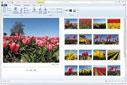 Windows Live Photo Gallery ile Fotoğraflarınızı Düzenleyin