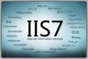 IIS7 Reportview sorunu