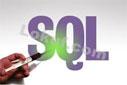 SQL Injection'dan Korunma