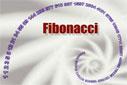 Fibonacci Serisi