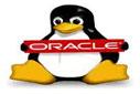 Linux Üzerine Oracle Jdk 1.7 x64 ve Netbeans Kurulumu 