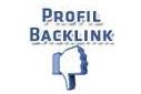 Profil Backlink Fiyaskosu