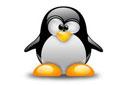Linux Debian Consol Kullanıcı ve Grup işlemleri
