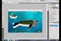 Photoshop CS5 Tutorial – Cutting object out of an image 